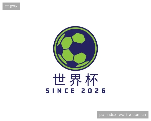 解读世界杯集团